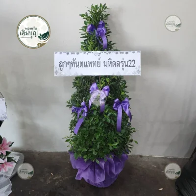 ประวัติการจัดส่งพวงหรีด เดือนมกราคม 2569