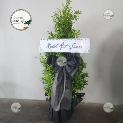 ประวัติการจัดส่งพวงหรีด เดือนกุมภาพันธ์ 2569 