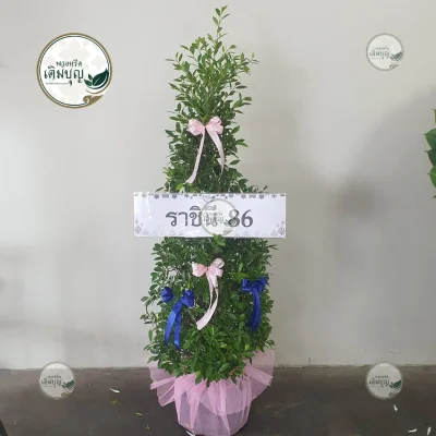 ประวัติการจัดส่งพวงหรีด เดือนกุมภาพันธ์ 2569 