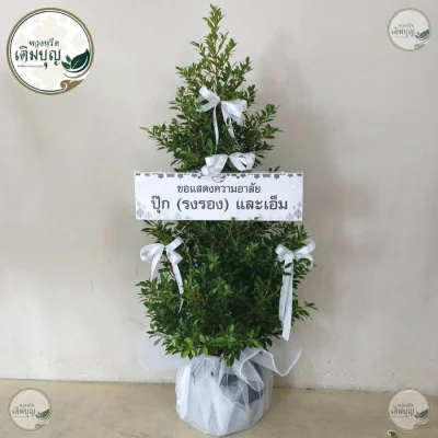 ประวัติการจัดส่งพวงหรีด เดือนพฤษภาคม 2569