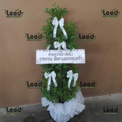 ผลงานจัดส่งพวงหรีดดอกไม้สด ร้านเติมบุญ เดือนกรกฎาคม 2568 ภาพที่ 12