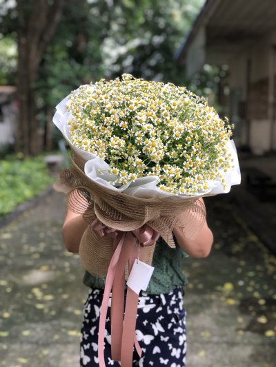 ช่อเดซี่ ช่อดอกเดซี่