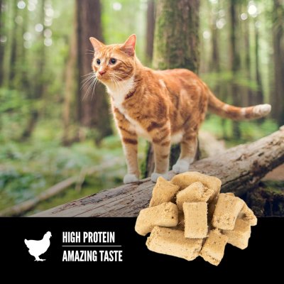 Orijen Freeze Dried Cat Treats 35g Original