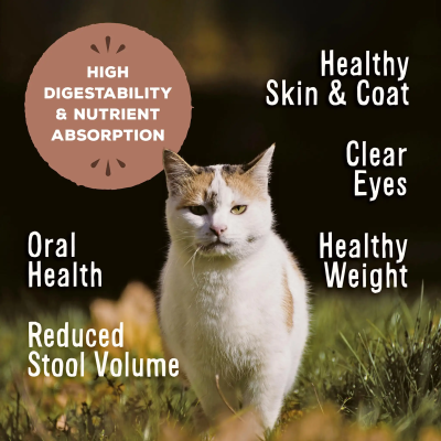 Primal Freeze Dried Cat Food Nuggets Beef & Salmon