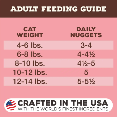 Primal Freeze Dried Cat Food Nuggets Beef & Salmon