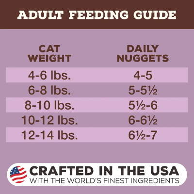 Primal Freeze Dried Cat Food Nuggets Turkey