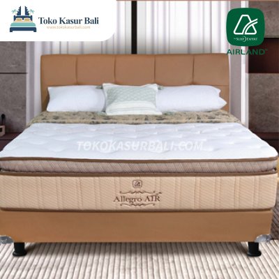 Airland New Allegro Air