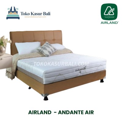 Airland New Andante Air