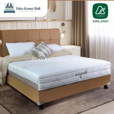 Airland New Andante Air