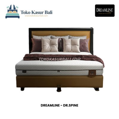 Dreamline Dr. Spine