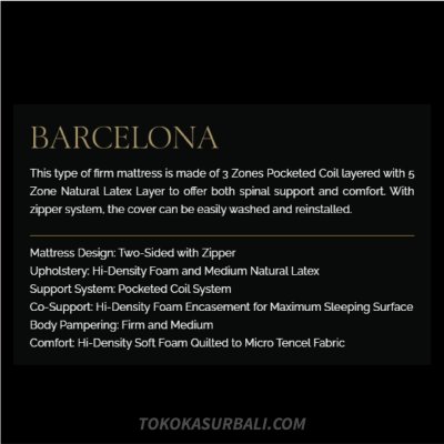 Dreamline New Barcelona