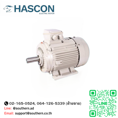 Hascon electric motor Model : HC-100L-4, 3kw 220/380V