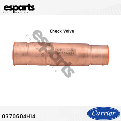 CHECK VALVE