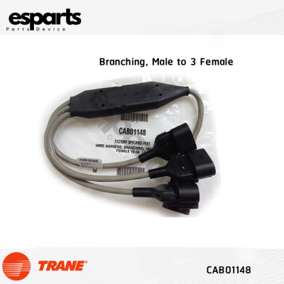 Wire Branch Harness