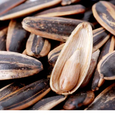 Logeco Original Herbal Roasted Sunflower Seeds (120g)