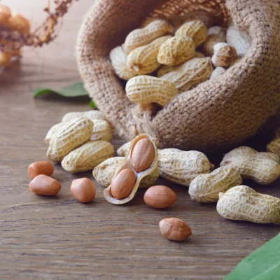 Roasted Peanuts in Shell - Tea Flavor