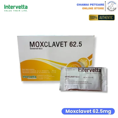 Moxclavet 62.5mg