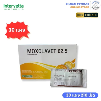 Moxclavet 62.5mg ยกกล่องราคาถูก