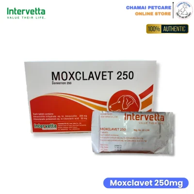 Moxclavet 250mg