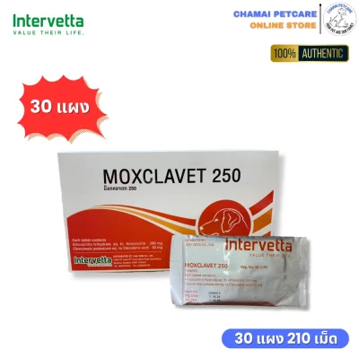 Moxclavet 250mg ยกกล่องราคาถูก