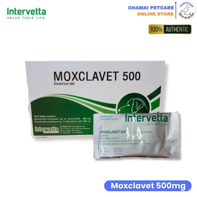 Moxclavet 500mg