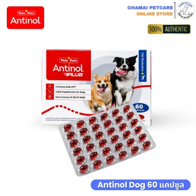 Antinol Plus สุนัข