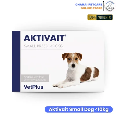 Aktivait สุนัขพันธุ์เล็ก