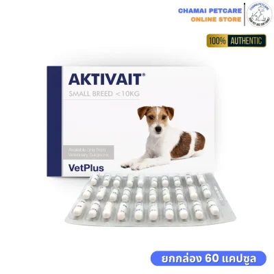 Aktivait สุนัขพันธุ์เล็กราคาถูก