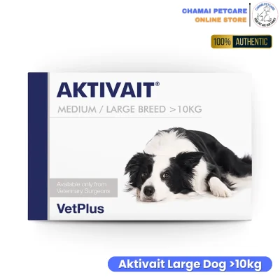 Aktivait สุนัขพันธุ์ใหญ่