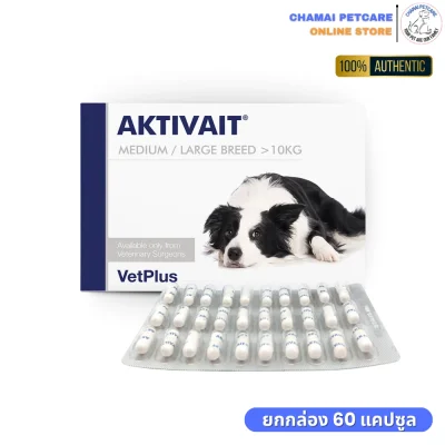 Aktivait สุนัขพันธุ์ใหญ่ราคาถูก