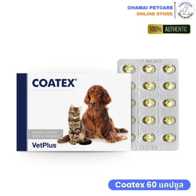 Coatex ราคาถูก