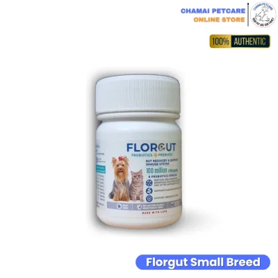Florgut สุนัขพันธุ์เล็ก