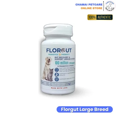 Florgut Probiotic | อาหารเสริมโพรไบโอติก พรีไบโอติก สำหรับสุนัขและแมว ชนิดแคปซูล (30 แคปซูล)