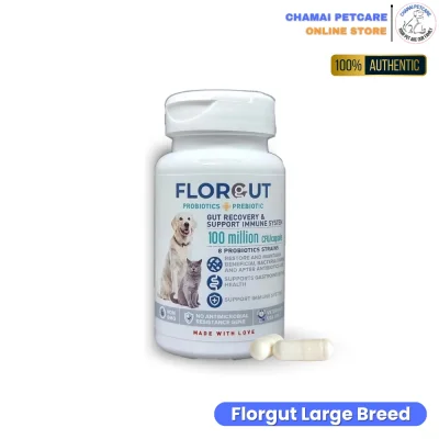 Florgut สุนัข