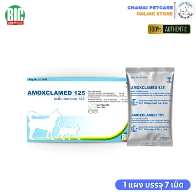 Amoxclamed 125mg ยาฆ่าเชื้อสุนัขและแมว