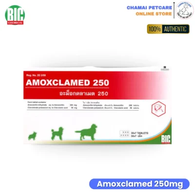 Amoxclamed 250mg