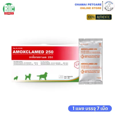 Amoxclamed 250mg ยาฆ่าเชื้อสุนัขและแมว