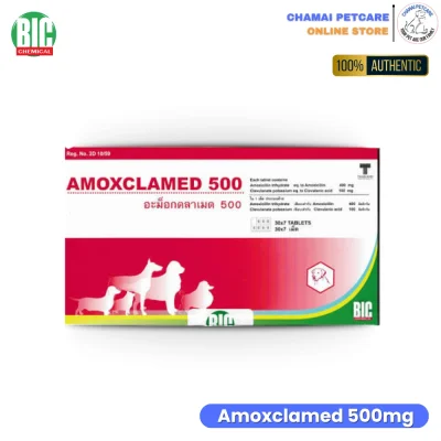 Amoxclamed 500mg