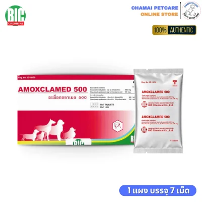 Amoxclamed 500mg ยาฆ่าเชื้อสุนัขและแมว