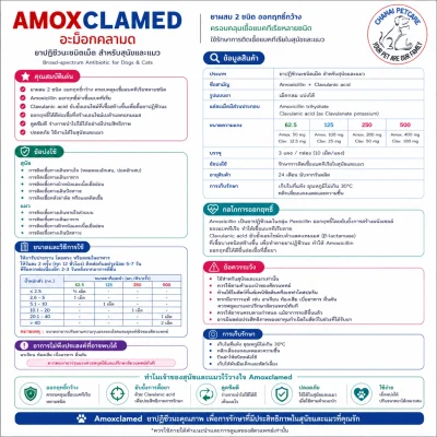 Amoxclamed 500mg | ยาฆ่าเชื้อปฏิชีวนะชนิดเม็ด รักษาการติดเชื้อแบคทีเรีย แผล และทางเดินหายใจ สำหรับสุนัขและแมว