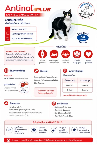 Antinol Cat
