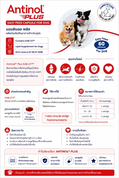 Antinol Dog