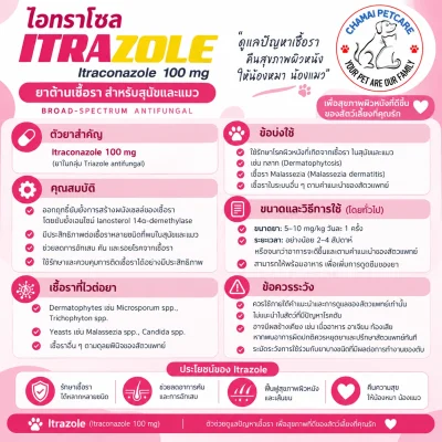 [แพ็คสุดคุ้ม] Itrazole 100mg | ยารักษาโรคเชื้อราผิวหนังและภาวะติดเชื้อยีสต์ สำหรับสุนัขและแมว ชนิดแคปซูล