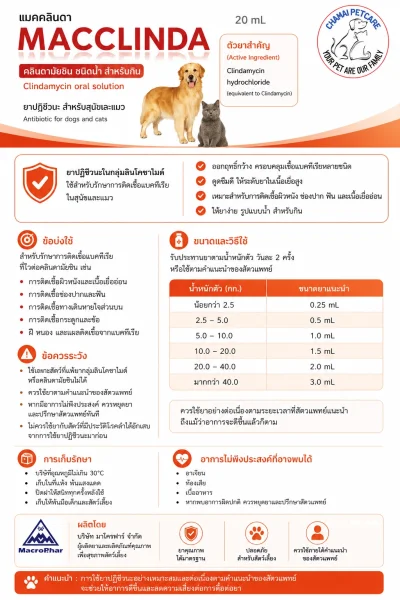ยารักษาแมวเหงือกอักเสบ