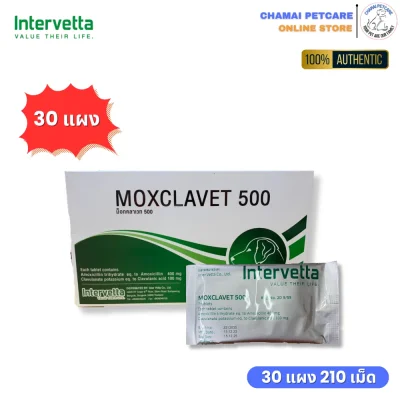 Moxclavet 500mg ยกกล่องราคาถูก