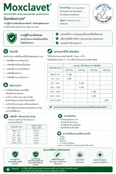 [แพ็คสุดคุ้ม] Moxclavet | ยาปฏิชีวนะ ฆ่าเชื้อแบคทิเรียในเยื่อบุอ่อนสำหรับสุนัขและแมว