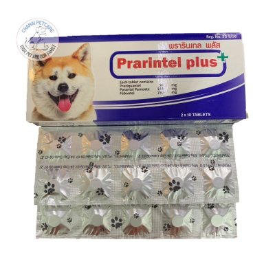 Prarintel Plus for Dog | ยาถ่ายพยาธิในทางเดินอาหารสำหรับสุนัข ชนิดเม็ด (1กล่อง บรรจุ 20 เม็ด)