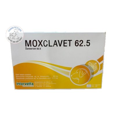 Moxclavet 62.5mg | ยาปฏิชีวนะ แก้หวัด ฆ่าเชื้อแบคทิเรียในเยื่อบุอ่อนสำหรับสุนัขและแมว ชนิดเม็ด (1 แผง บรรจุ 7 เม็ด)