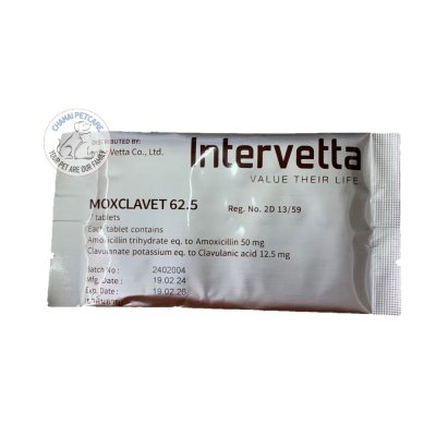 Moxclavet 62.5mg | ยาปฏิชีวนะ แก้หวัด ฆ่าเชื้อแบคทิเรียในเยื่อบุอ่อนสำหรับสุนัขและแมว ชนิดเม็ด (1 แผง บรรจุ 7 เม็ด)