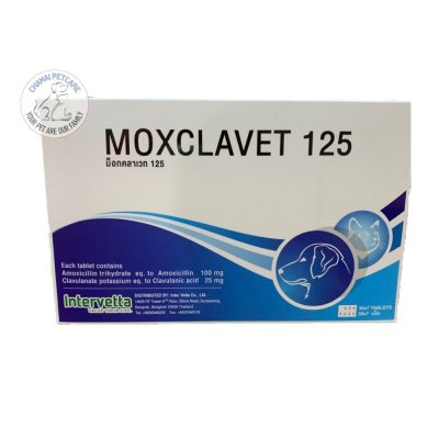 Moxclavet 125mg | ยาปฏิชีวนะ แก้หวัด ฆ่าเชื้อแบคทิเรียในเยื่อบุอ่อนสำหรับสุนัขและแมว ชนิดเม็ด (1 แผง บรรจุ 7 เม็ด)